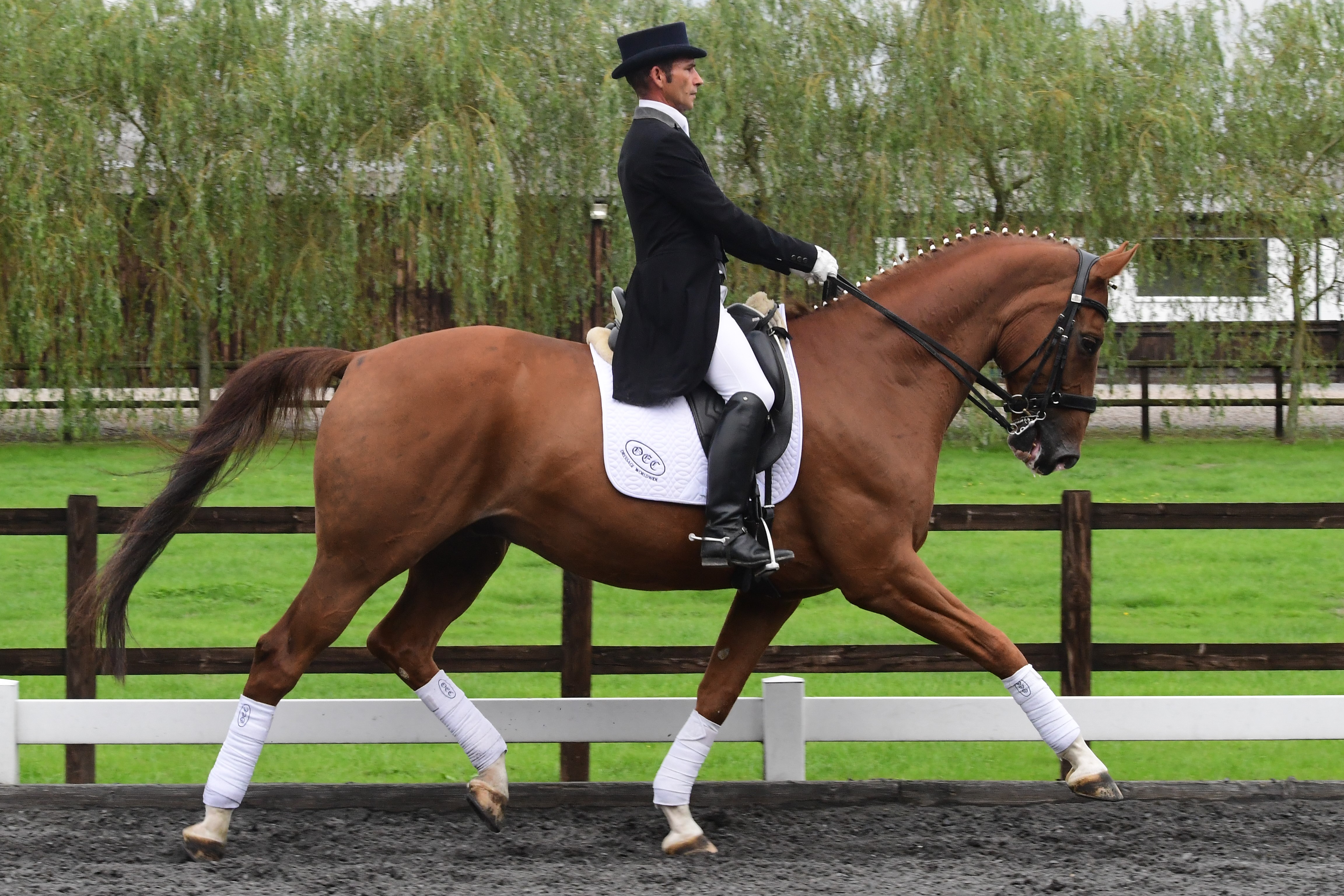 Oldencraig Equestrian Centre Dressage Surrey Livery Yard Surrey