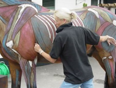 Nicole working on a horse
