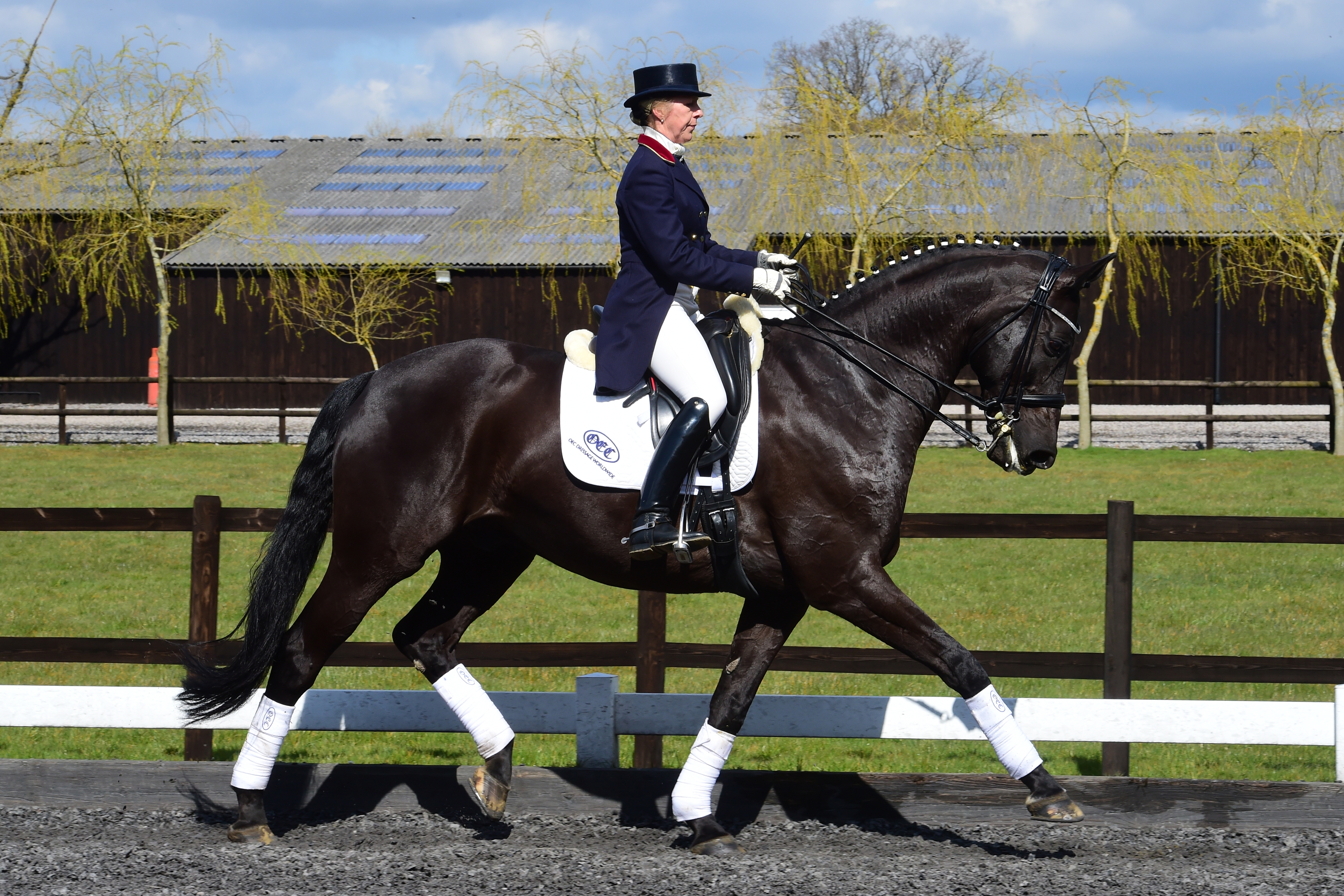 Box Jumps For Sale >> Oldencraig Equestrian Centre | Dressage Surrey | Livery ... Box Jumps For Sale >> Oldencraig Equestrian Centre | Dressage Surrey | Livery ...