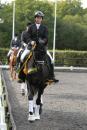 2012 Dressage Championships