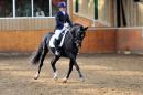 2012 Dressage Championships