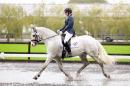 Oldencraig Championship Show 2013