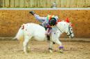 Oldencraig Strictly Come Dressage 2014