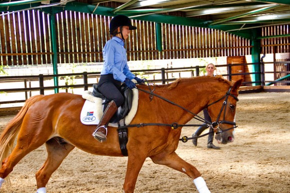 Flatwork Clinic