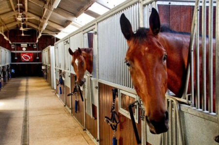 Stables at Oldencraig