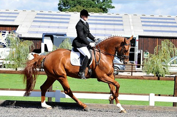 Riding School