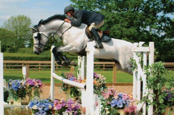 Show Jumping Clinic