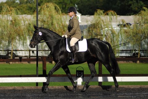 OEC Dressage Championships 2012