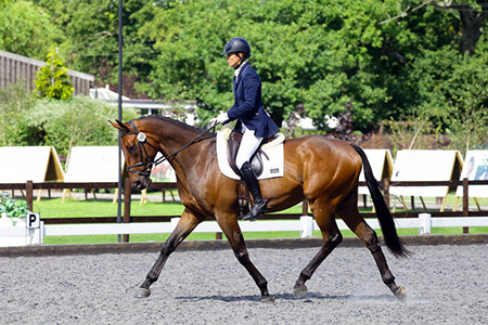 Strictly Come Dressage 2013