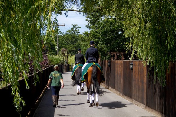 Work with us at Oldencraig Equestrian Centre